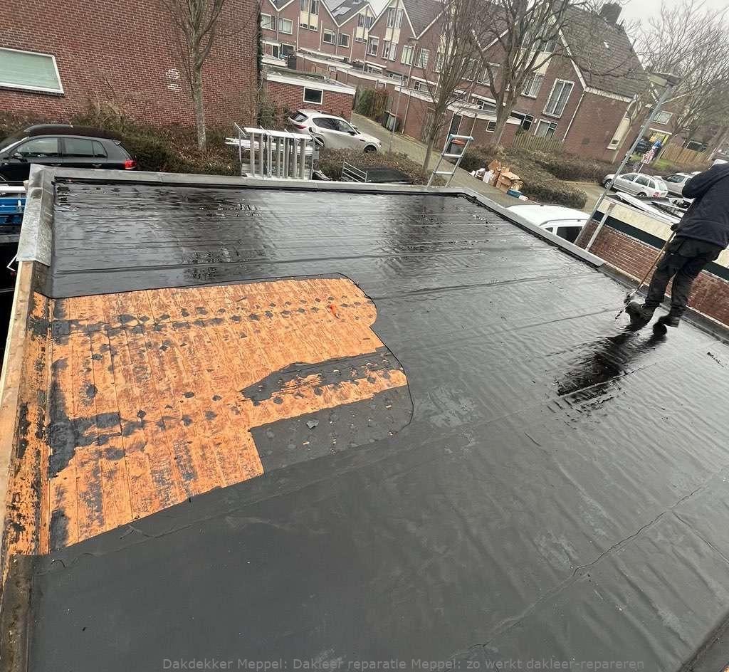 Dakleer Reparatie Meppel