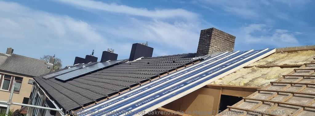 Dakrenovaties Meppel 1