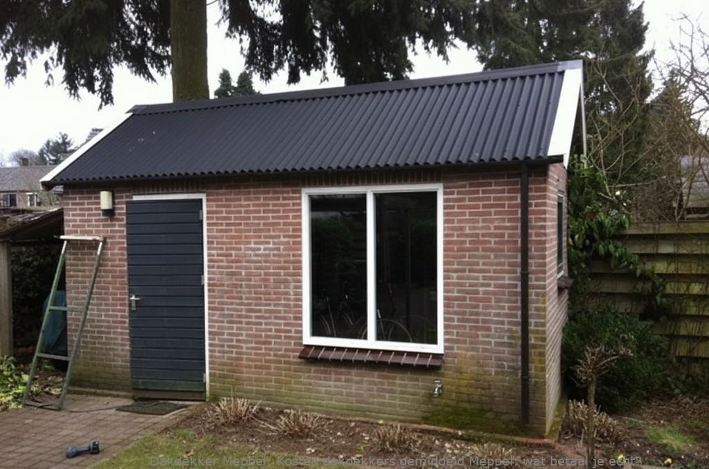 Kosten Dakdekkers Gemiddeld Meppel