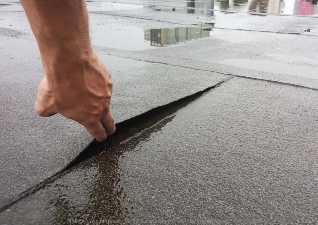 Kosten Repareren Daklekkage Meppel