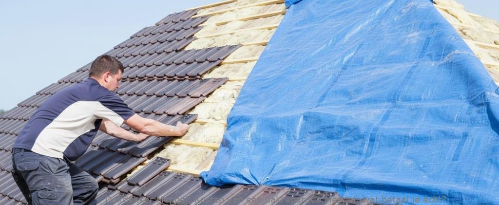 Kosten Van Een Dakreparatie Meppel