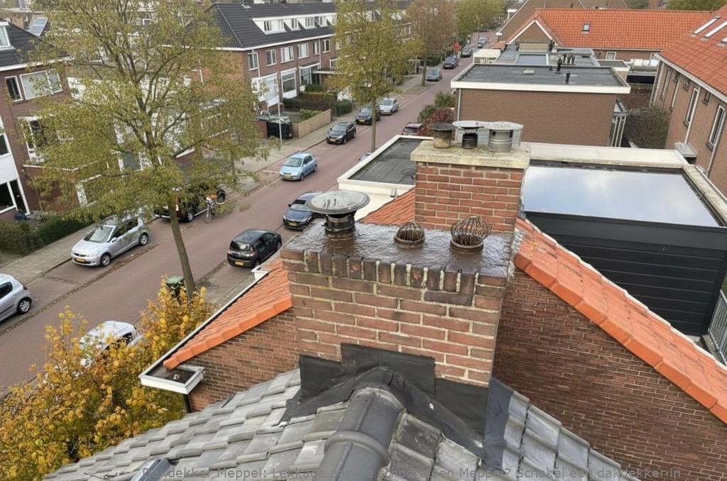 Lekkage Aan De Schoorsteen Meppel