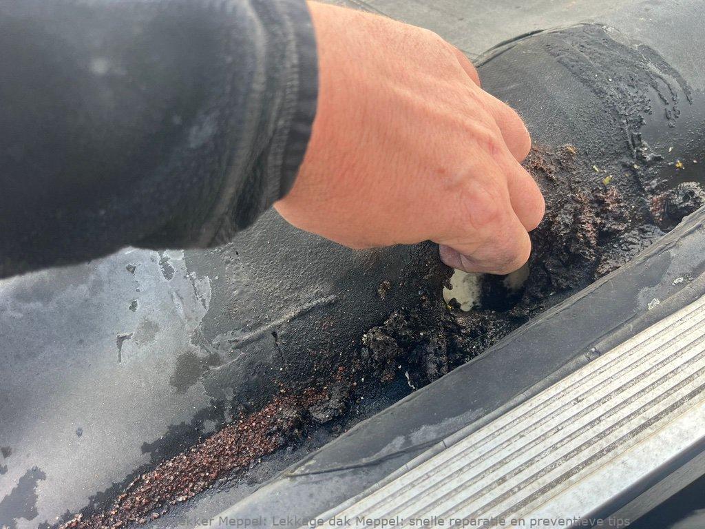 Lekkage Plat Dak Meppel 1