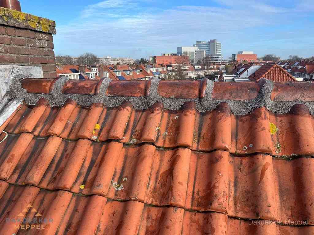 Meppel Daken Renoveren