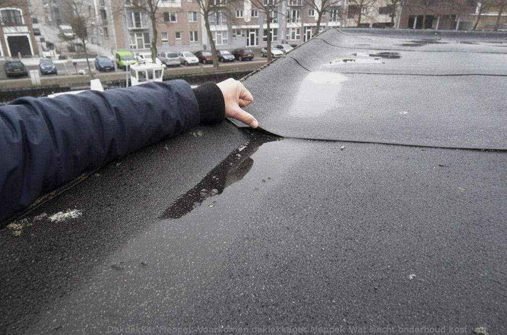 Voorkomen Daklekkages Meppel